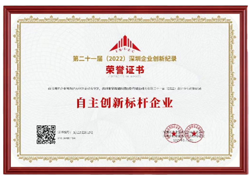 自主創(chuàng)新標(biāo)桿企業(yè)